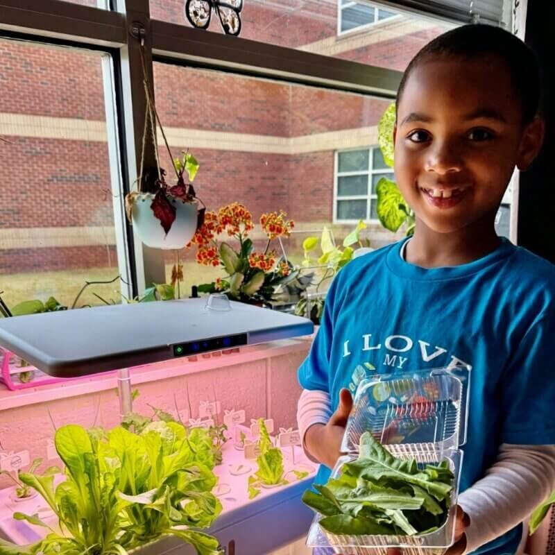 Students learning hydroponics system in classroom STEM education