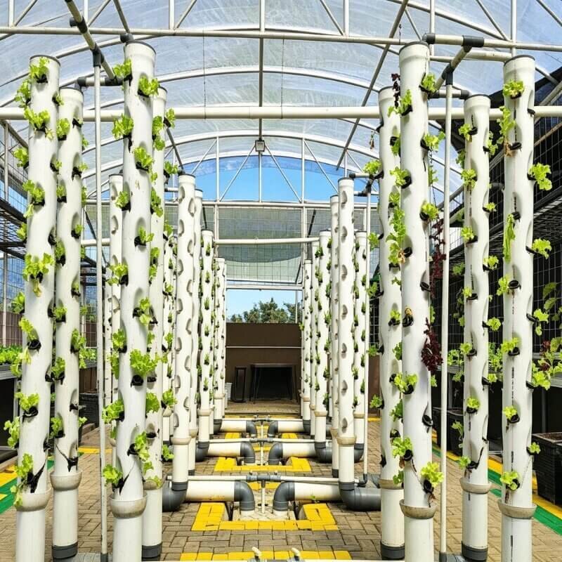 Hydroponics basics for beginners showing a vertical hydroponic tower system designed for indoor farming, space-saving vertical gardening, and high-density plant production.