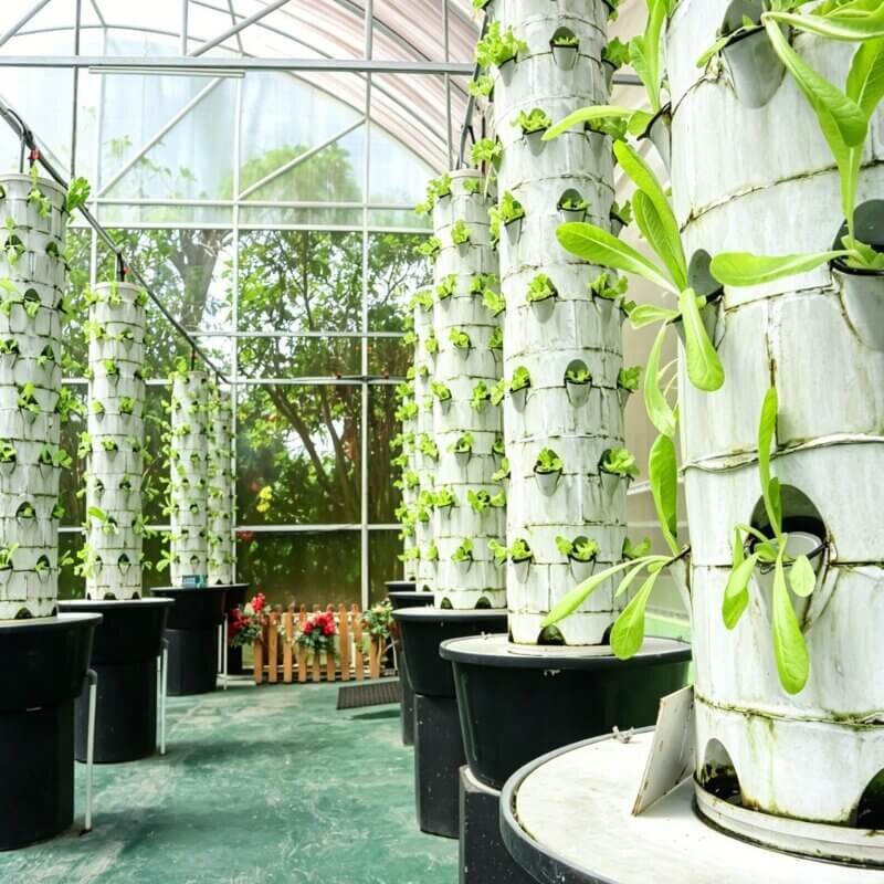 Hydroponics basics for beginners vertical hydroponic tower growing lettuce, mint, and basil in an indoor garden using a space-efficient stacked growing system with continuous nutrient flow.