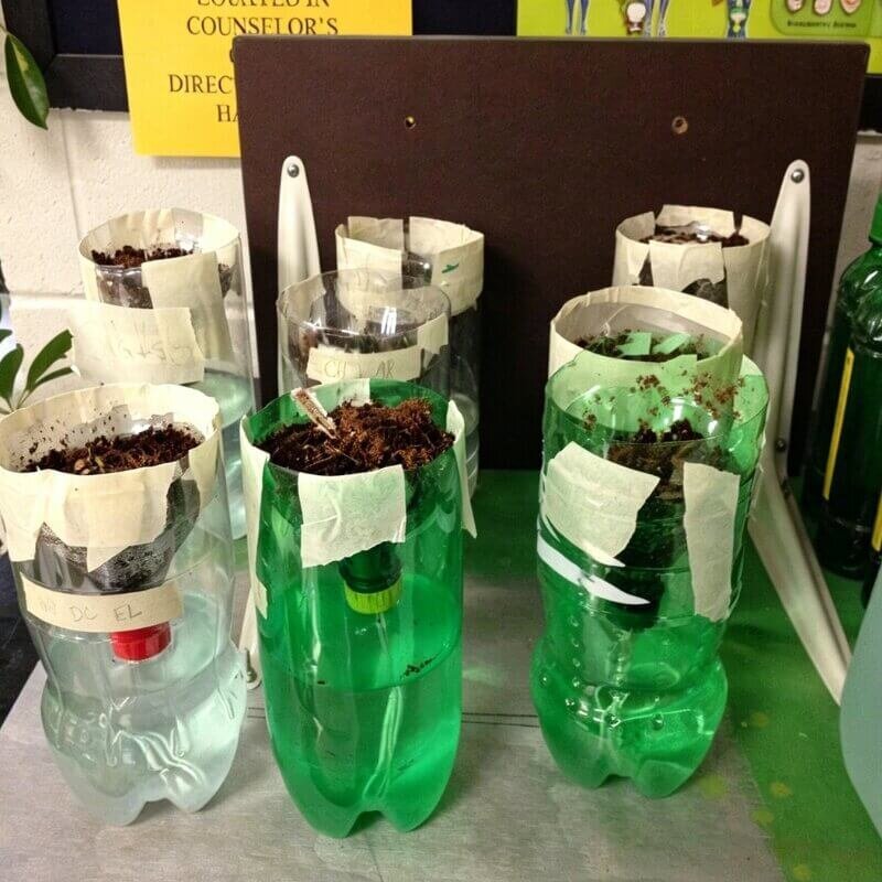 Wick hydroponic system rope nutrient delivery passive indoor setup
