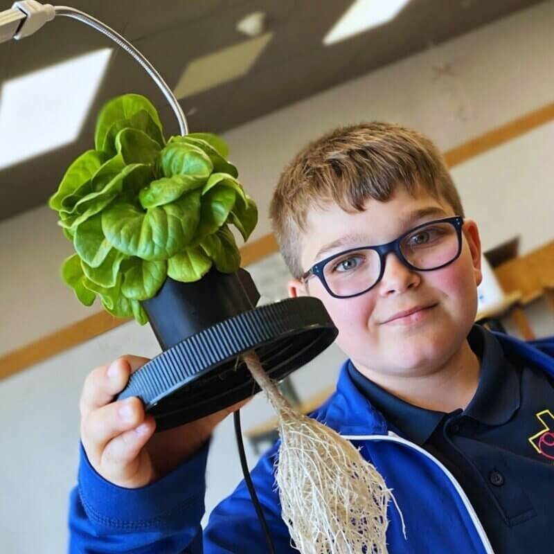 Students exploring hydroponics system in modern classroom STEM education activity