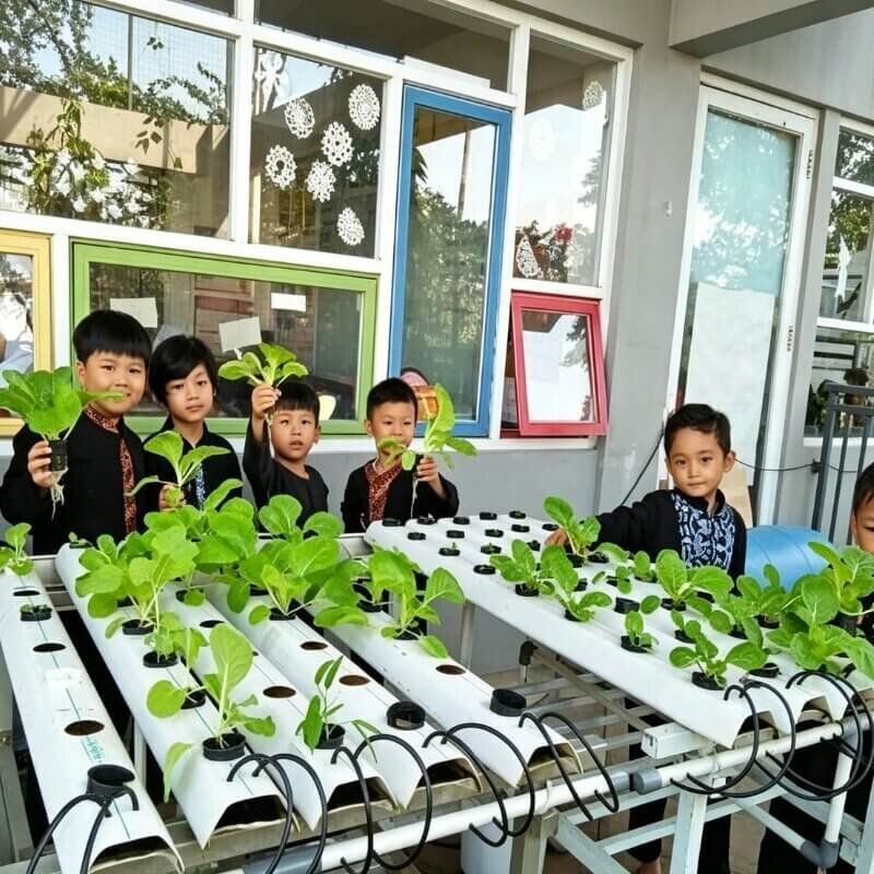 Indoor hydroponic farm for student agricultural education