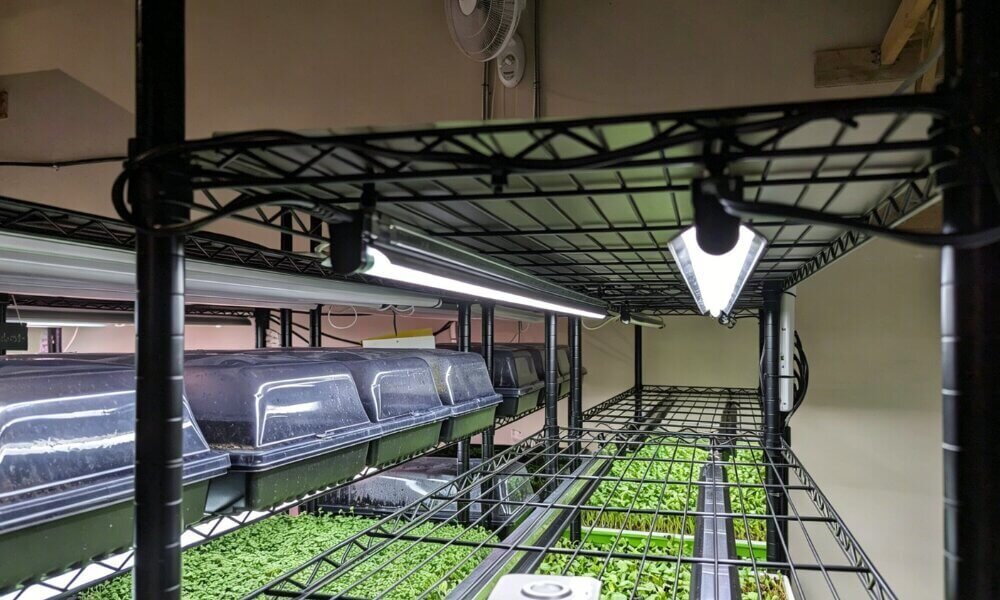 Microgreens lighting system indoor hydroponic grow lights.