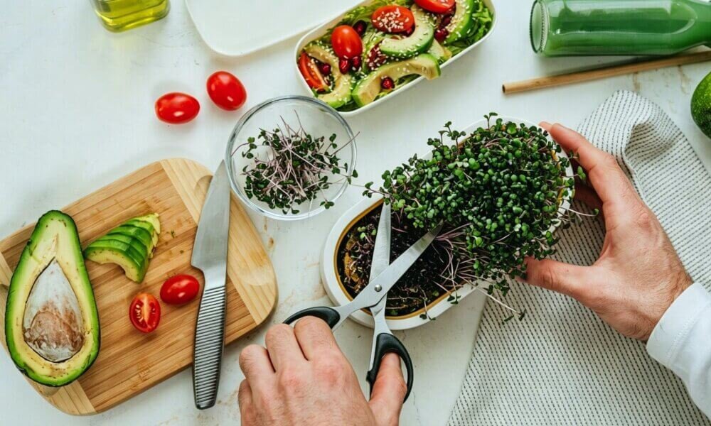 Microgreens prepared for cooking fresh culinary greens.