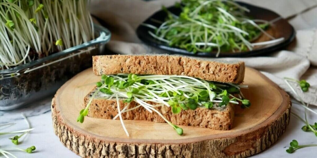 spicy radish microgreens sandwich garnish.