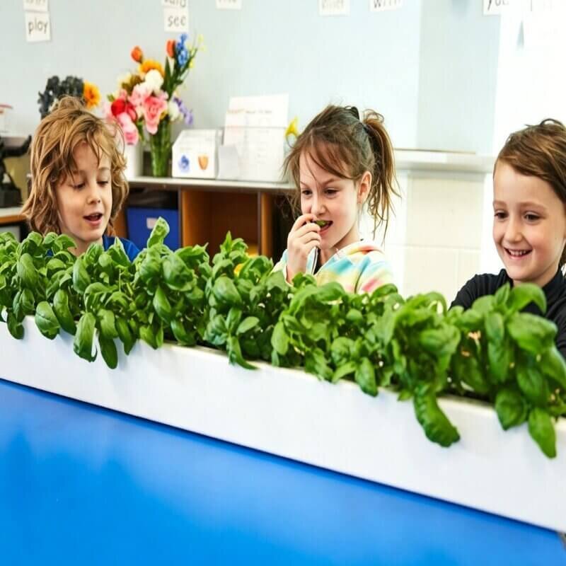 Future STEM classroom using hydroponics for interactive learning
