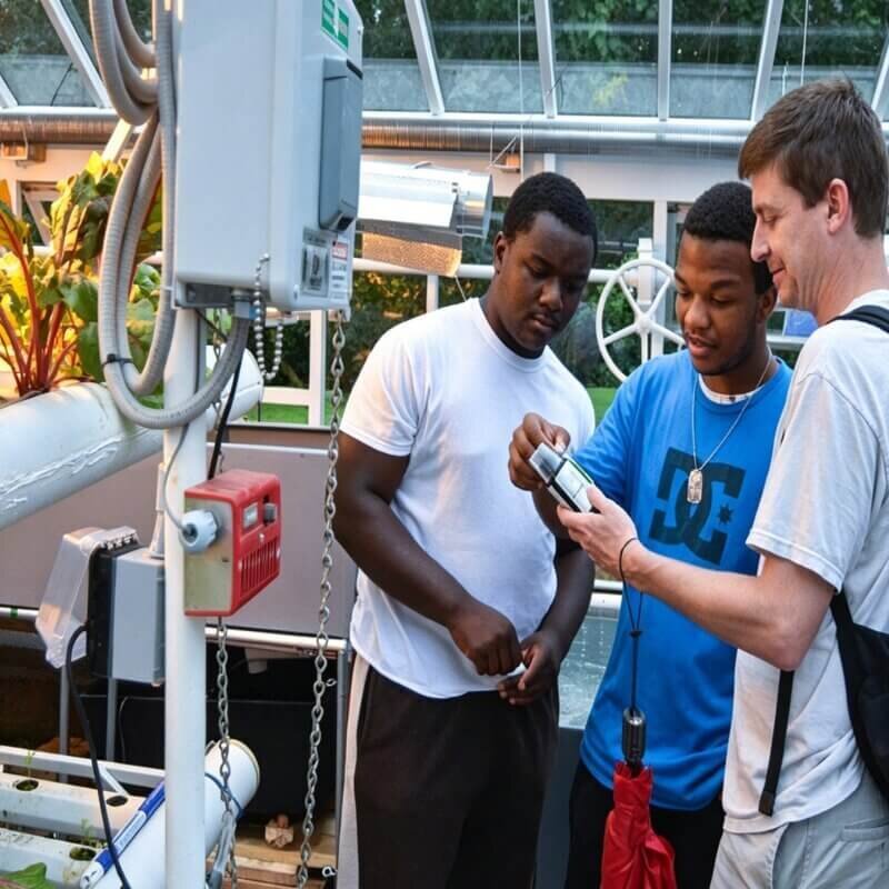 Students working on a hydroponic farming classroom project
