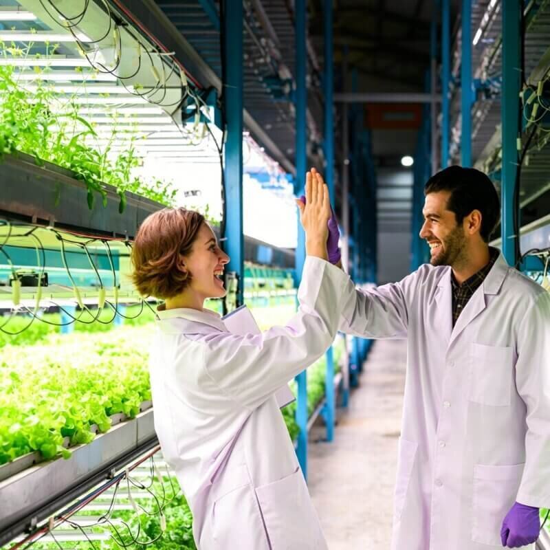 Students practicing hydroponic farming in agricultural planting base