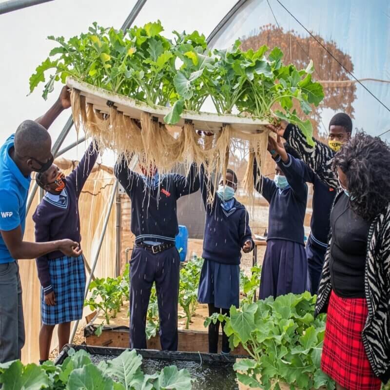 Students exploring hydroponic system outdoors in group STEM learning activity