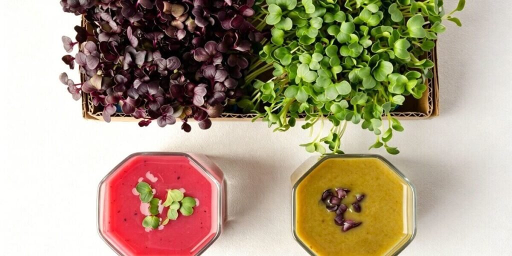 sunflower microgreens smoothie healthy drink.