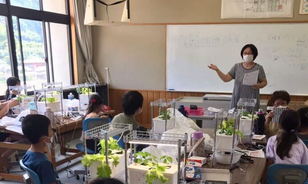 teacher teaching desktop hydroponic garden in STEM classroom