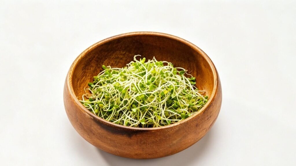 Hydroponic broccoli sprouts growing in tray rich in sulforaphane.