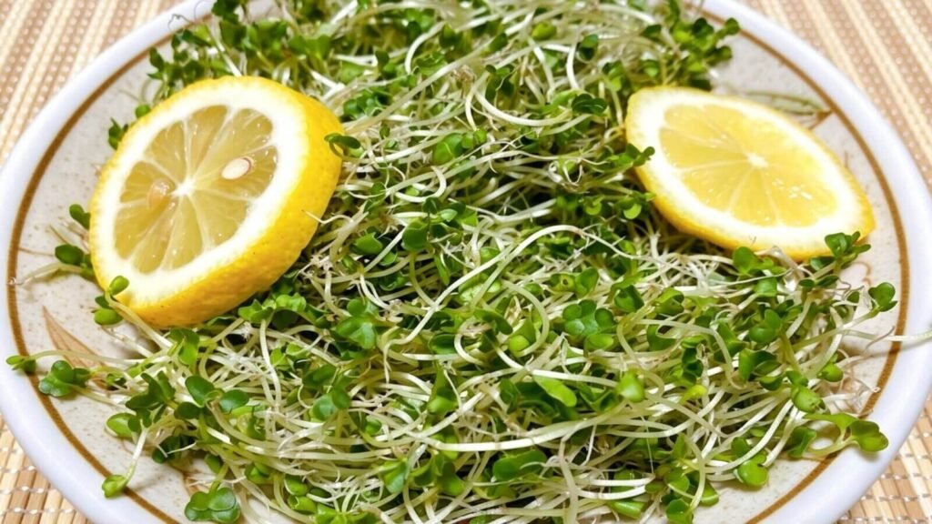 Broccoli sprouts with lemon antioxidant healthy food combination.