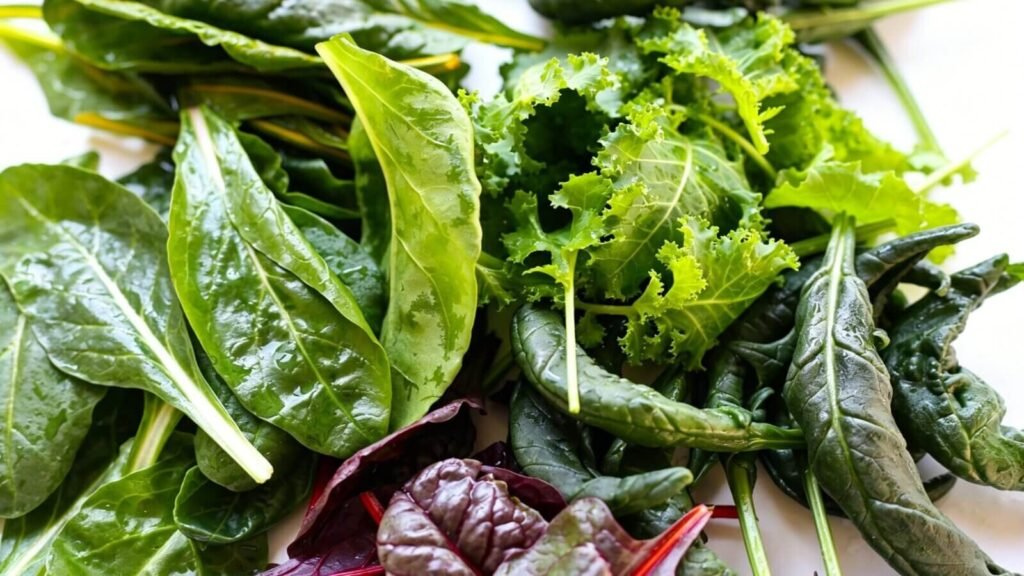 Basket of fresh organic leafy greens from farm harvest.