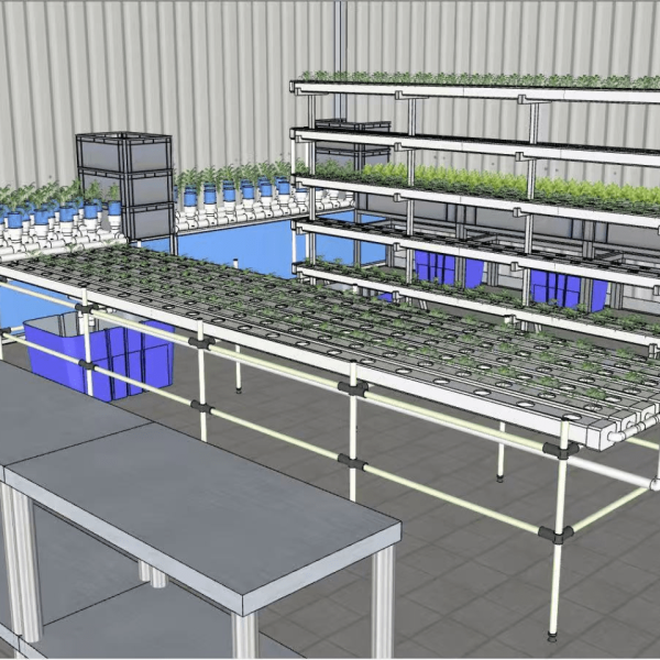 Greenfuturehydro’s 2025 NFT hydroponic farm concept design — ideal for commercial growers, schools, and eco-focused startups aiming for sustainable agriculture innovation.